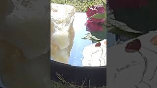 Citrine Root Selenite 7 Chakra Crystals Sunshine Energy Crystal Healing Meditation Music#meditation