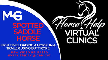 First Time Loading A Horse In A Trailer Using Butt Rope | The Horse Guru - Michael Gascon