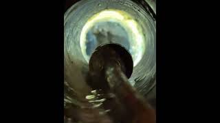Roots in Pipe! #rooter #plumbing #cloggeddrain