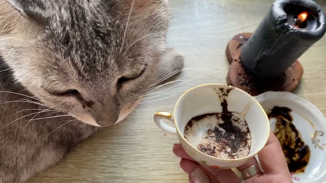 Чашка дня! Кофейные подсказки ☕️