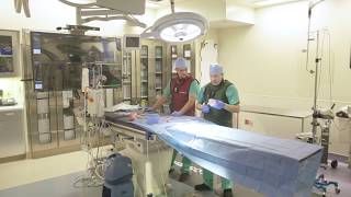 3D Printer Puts Models of Children’s Hearts in Our Hands