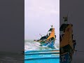   fishing boat tamilnadu tamil meenavan  fishing fish fisherman meenavananbanpadalgal