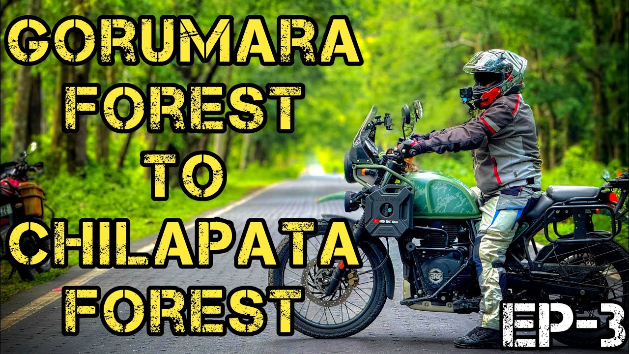Kolkata to Dooars |Gorumara Forest to chilapata Forest |Jaldapara |Jungal Book Homestay | Ep-3  2025