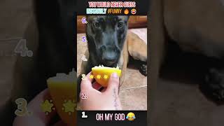 Thank You For Watching Thank You For Likingi Wish You Happiness povforyou storytime fyp