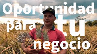 Cootregua Llegamos Donde Nadie Más Lo Hace