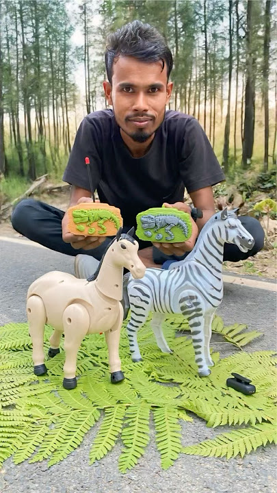 Animals Remote Control Zebra 🦓 and hours Unboxing 🔥