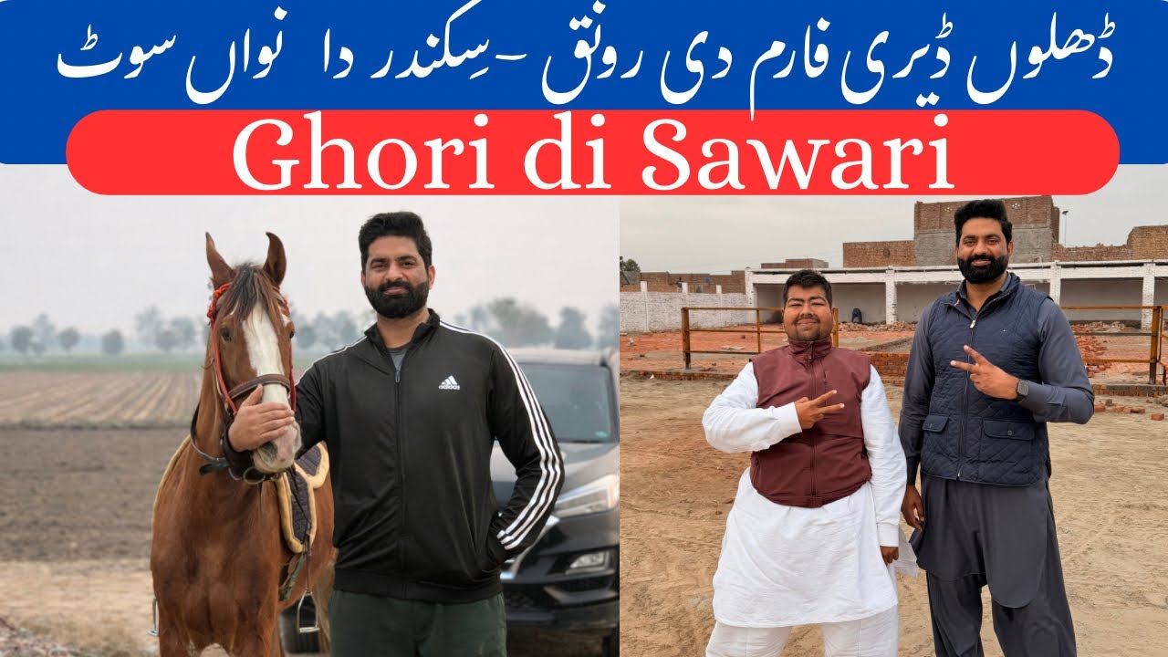 Dairy Farm Di Ronak | Sikandar Dhillon New Look | Ghori Di Sawari | Nasir Dhillon 