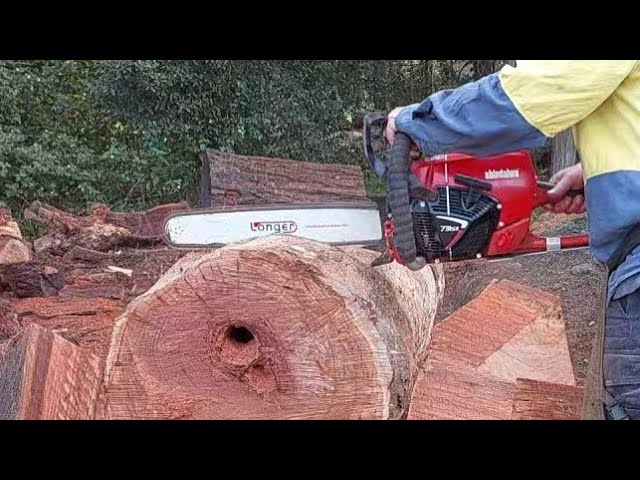 Shindaiwa 731sx chainsaw, checking out another guys port job