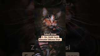 Koşunnrabbimizi Tanıyoruz 42. Bölüm Yayındaa