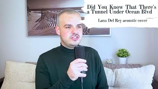 Did you know that there's a tunnel under Ocean Blvd - Lana Del Rey (ACOUSTIC COVER)