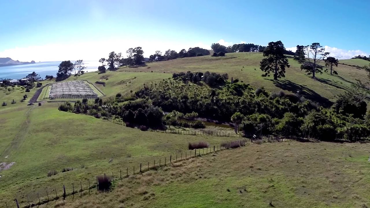 Property Video: Moturoa Island - Building site for sale