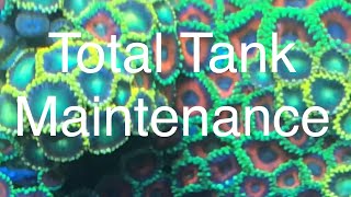 Total Tank Maintenance - What Frequency & Why - Saltwater Coral Reef Aquarium