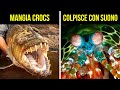 Fatti che dimostrano che gli animali sono MOLTO piÃ¹ strani di quanto pensassi
