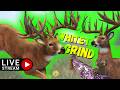 Hunter Call Of The Wild Mississippi Grind!