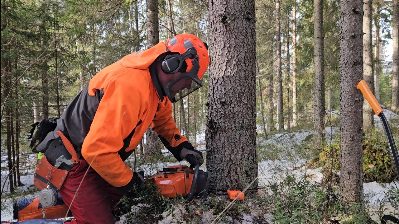 Konkeloita ja pannukahvia. 