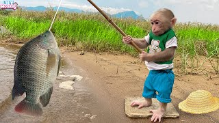 Dad takes monkey Lily go fishing to cook and then...