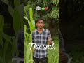 Farming ☘️❤️ #shorts #villagelife #trending #tiktok #india #instagram #viralshorts #kisan #farming