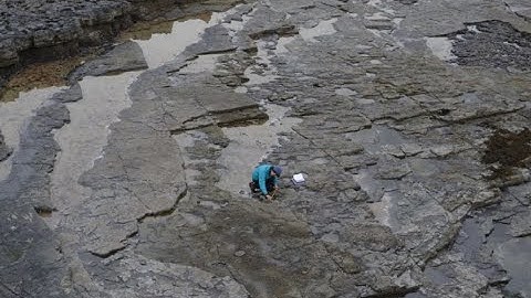 Holly Streams Picross (Part 6)