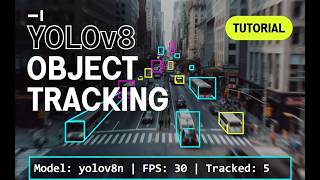 Real Time Object Tracking with YOLOv8 — Track Any Video! #objecttracking #yolov8 #pythontutorial