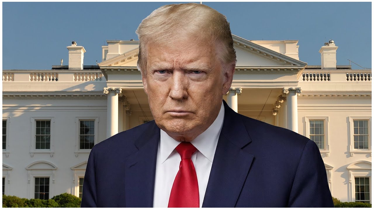 Что эксперты не хотят, чтобы вы знали о троллях Трампа из движения MAGA