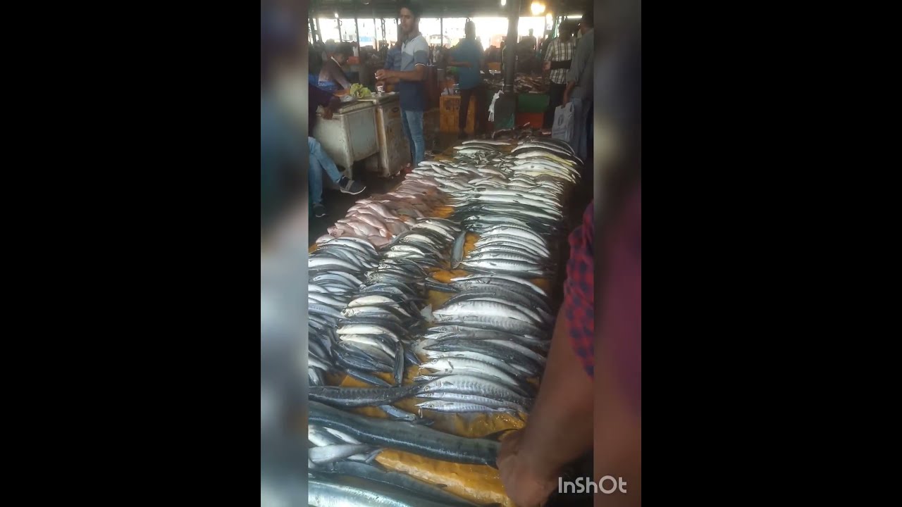 Fish Market Ukkadam YouTube Fish Market Ukkadam YouTube