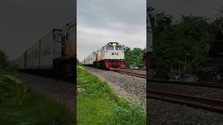 YEE KERETA API NYA LEWAT #shorts #keretaapi #viral #train