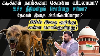 Is it right according to the Bible to kill biting dogs? Tamil Bible study. Grace City Church. screenshot 4