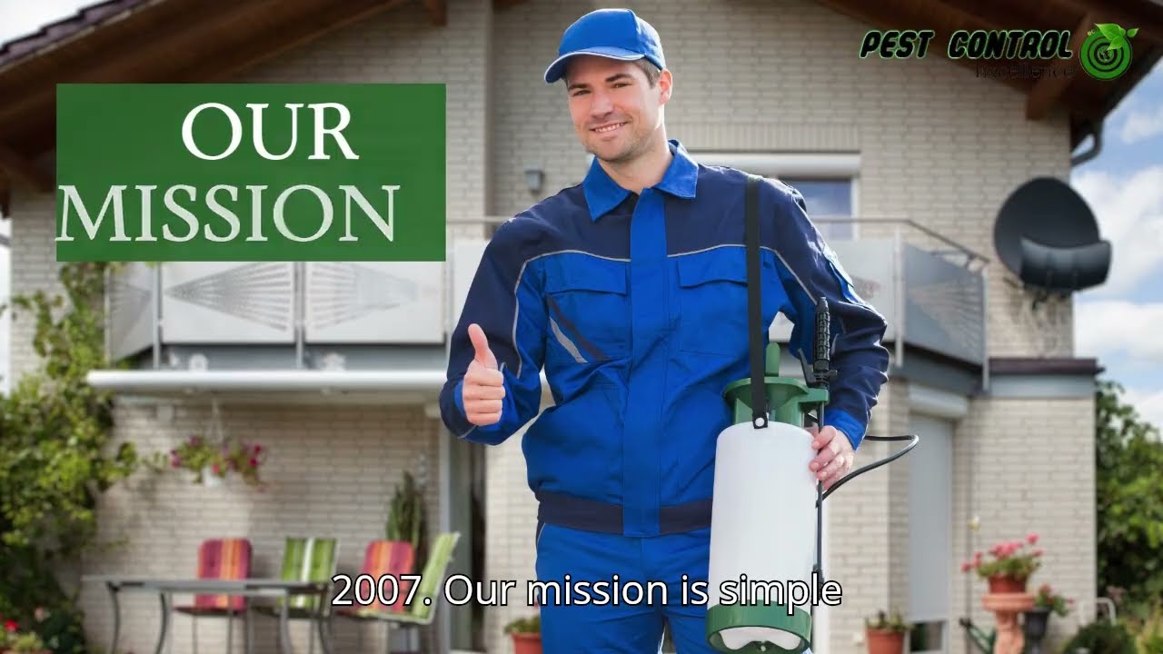 Pest Control Excellence – Your Trusted Experts in the Garden Route! 🦟