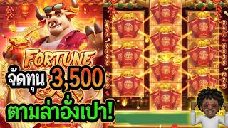 โคตรหยองNo 1 ตามล่าอั่งเปา!│Fortune Ox  สล็อตPG