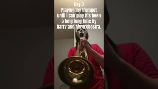 Day 3 #trumpet #brainrot #music