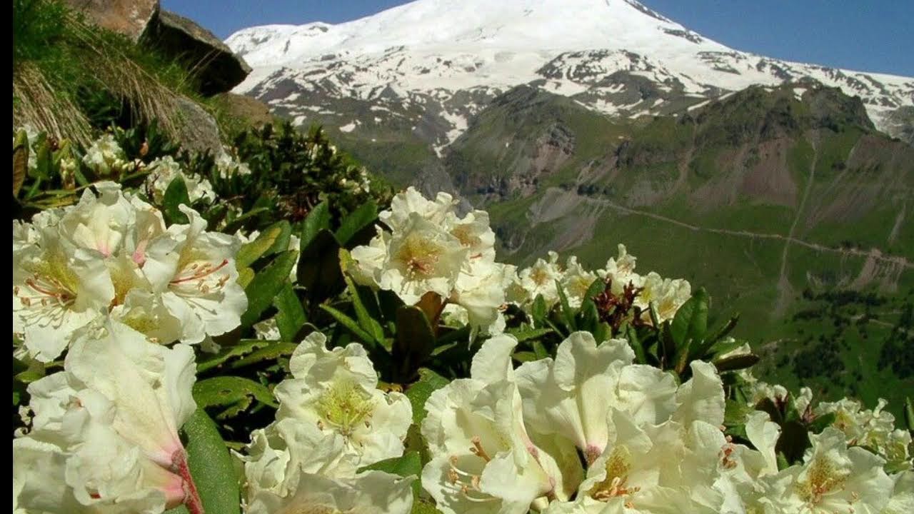 2026  -   03  -  01    Молодежный хор