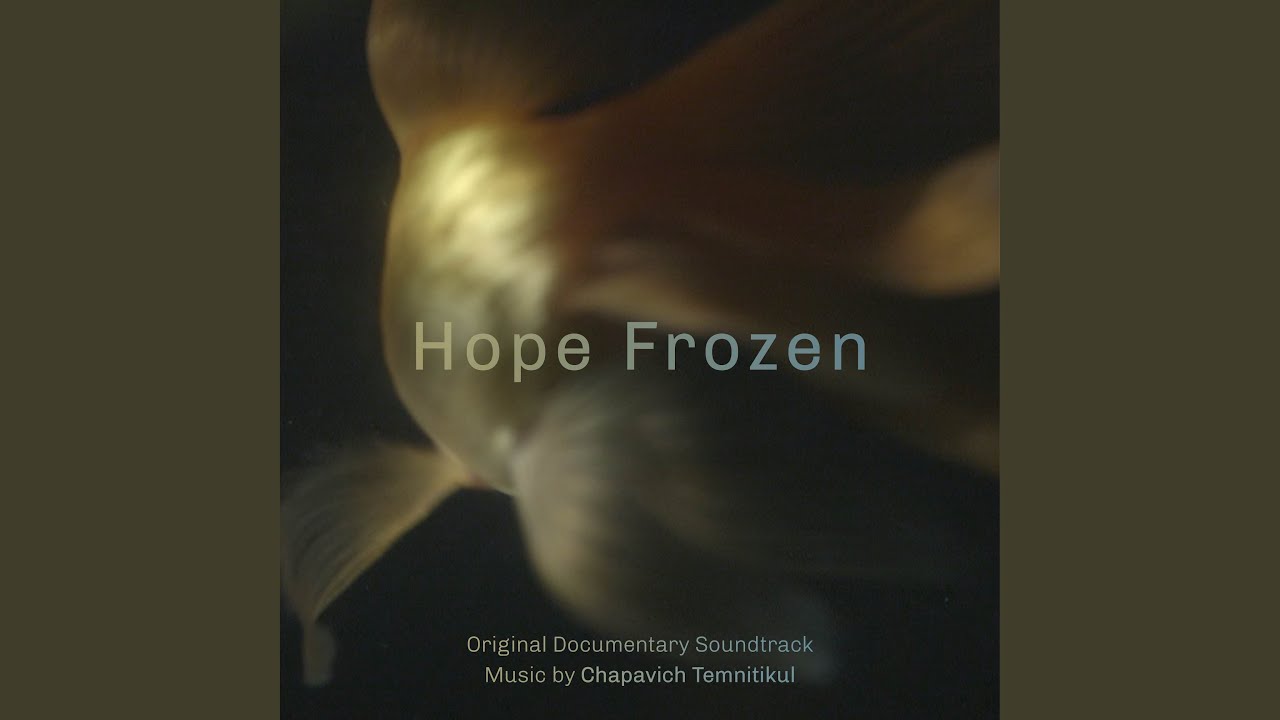 Our Journey Continues