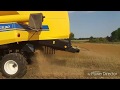 Уборка льна масляничного,без десикации комбайном New Holland TC5.90