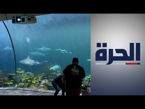 حوض شد للكائنات البحرية أحد أهم معالم مدينة شيكاغو الأميركية