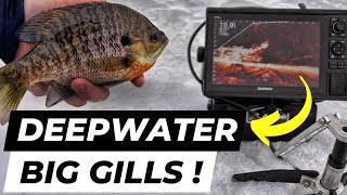 Ice Fishing for BIG BLUEGILLS on DEEP WATER WOOD with Livescope