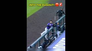 TJ Rumfield FLIPS into the dugout for the catch! 🤯💥 #baseball #parati #mlb #youtube #beisbol