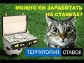 МОЖНО ЛИ ЗАРАБОТАТЬ НА СТАВКАХ?