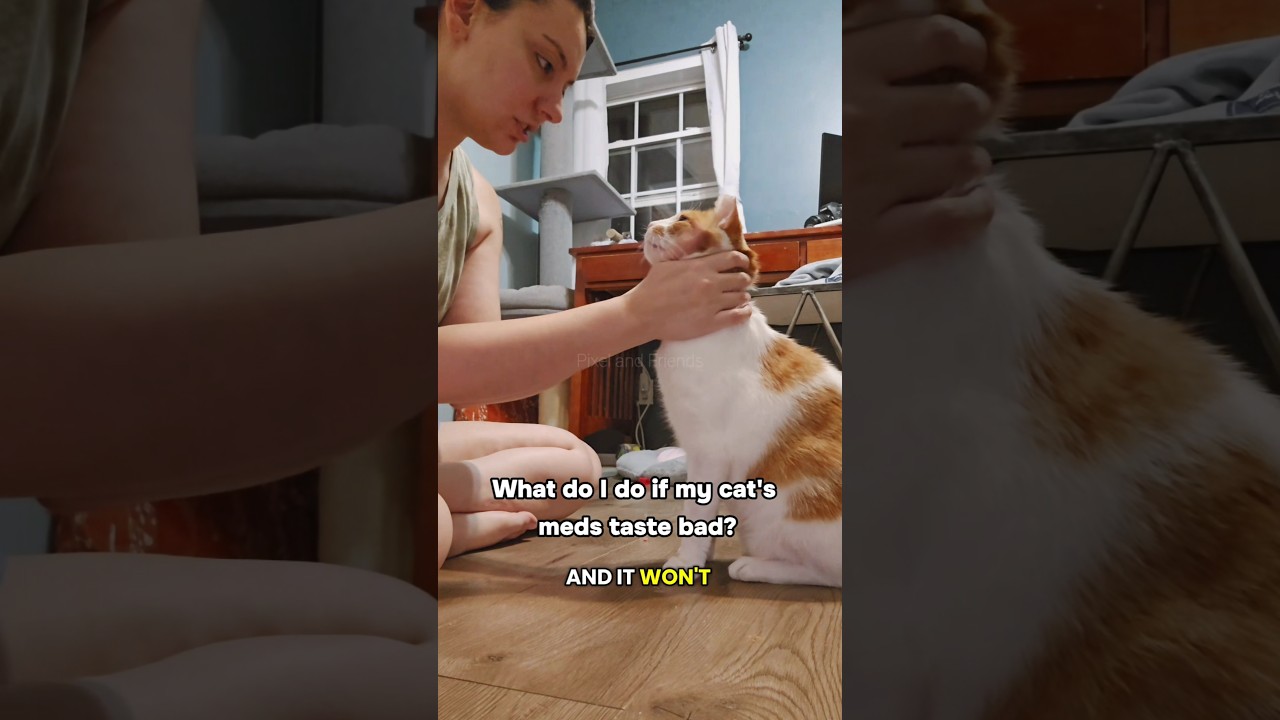 Я использую пустые гелевые капсулы, чтобы положить туда горькие таблетки.