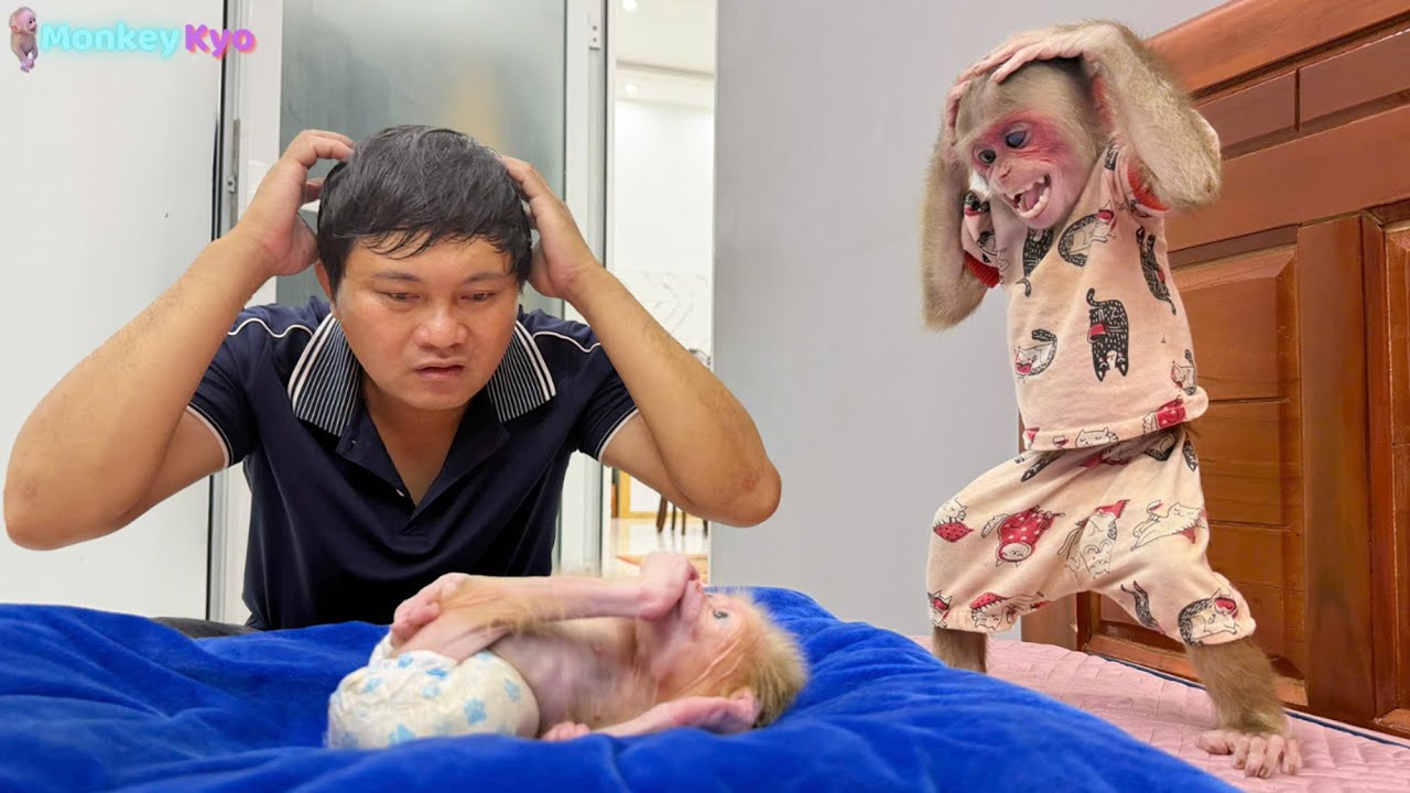 What’s happening to the little monkey... Thanh and Kyo are worried!