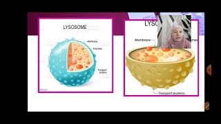 BIOLOGI TINGKATAN 4 KSSM BAB 2 (2.1) KOMPONEN SEL HAIWAN