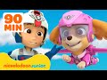 PAW Patrol Stella De La Pat Patrouille Est Prête à S Envoler Nickelodeon Jr France 