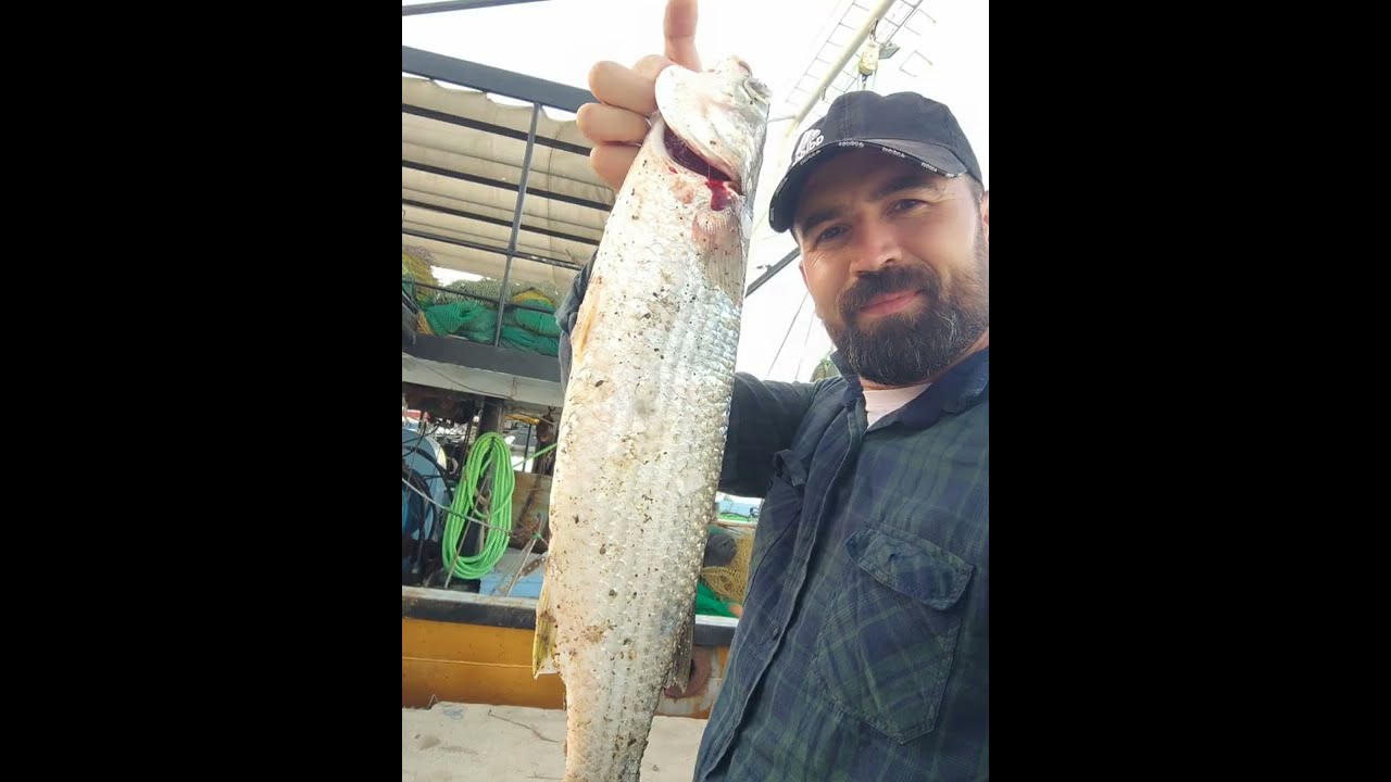 ADANA KARATAŞ-KEFAL AVI - SU ÜSTÜ TOPAK BAŞ KEFAL AVI