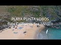 PLAYA PUNTA LOBOS ( Playas de Baja California Sur México ) Sergio Vazquez....