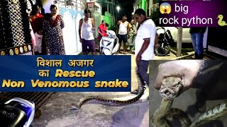 Full 😱 Giant Rock Python Rescue! विशाल अजगर का रेस्क्यू 🐍 Guide