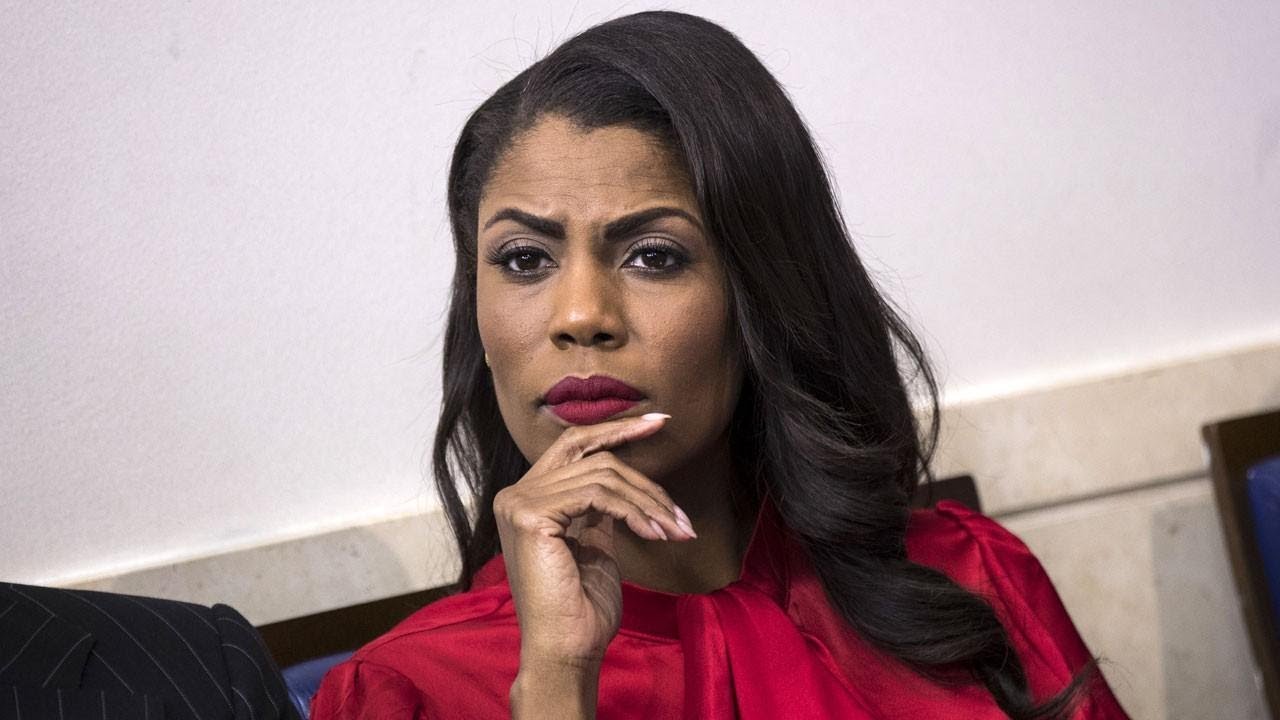 Watch Omarosa's Tense Interview About Working for Donald Trump