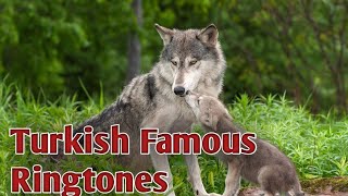 Turkey New Famous Ringtones Sad Music Background Turkish Music 🎵 video viral screenshot 2