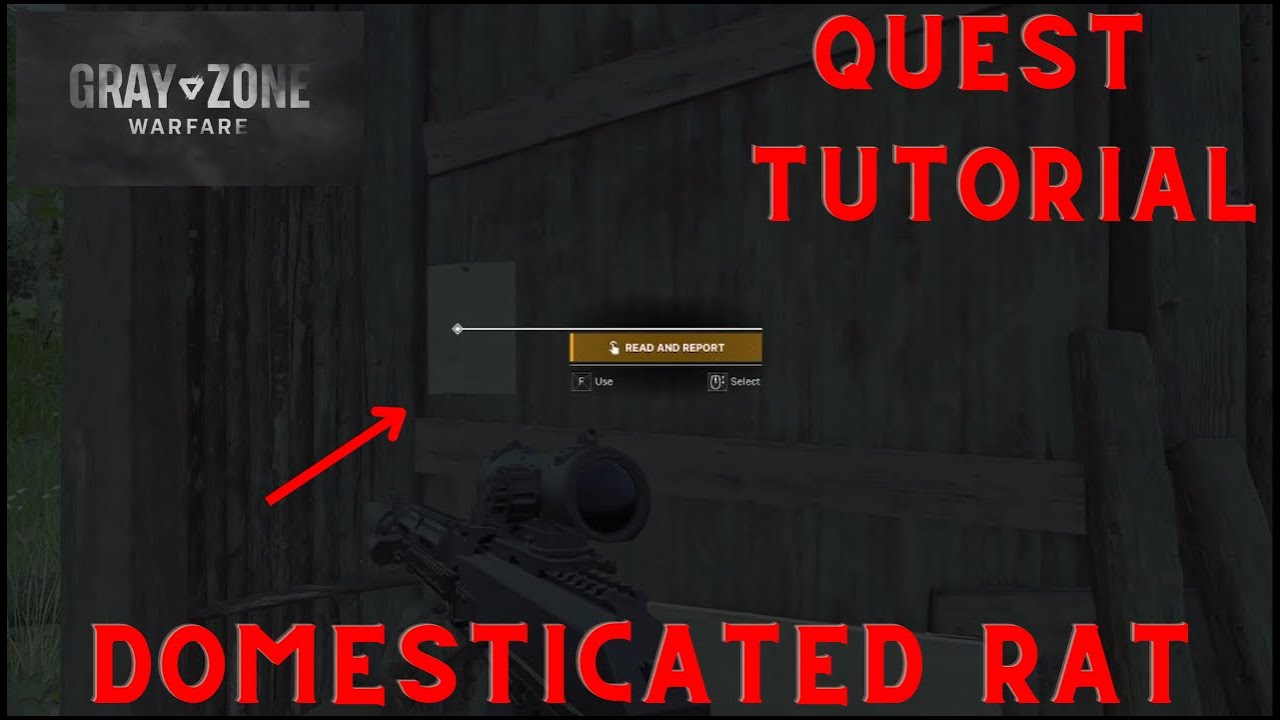 Gray Zone Warfare Quest Tutorial Domesticated Rat [UPDATED] YouTube