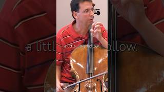 Dynamics vs. energy for the Schumann Cello Concerto