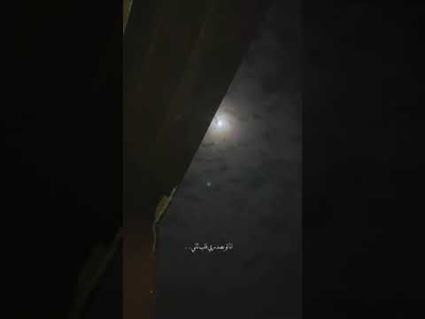 لا تقسى على قلبي تراني عبدالله ال فروان