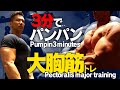 【3分】大胸筋がデカくなる腕立て伏せ3種目！上部・中部・下部に効く!!!(#49)